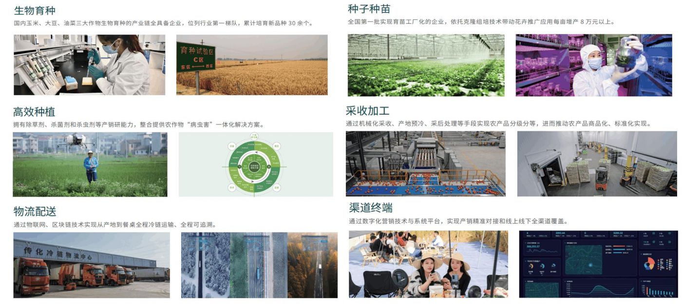 從研發(fā)培育到生產(chǎn)銷售終端全流程標(biāo)準(zhǔn)化打造 