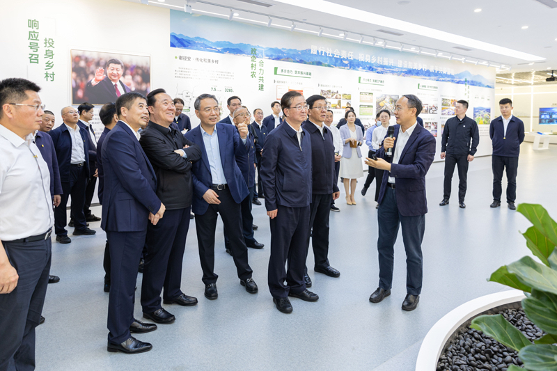 16855271016018368awP.jpg 2.jpg