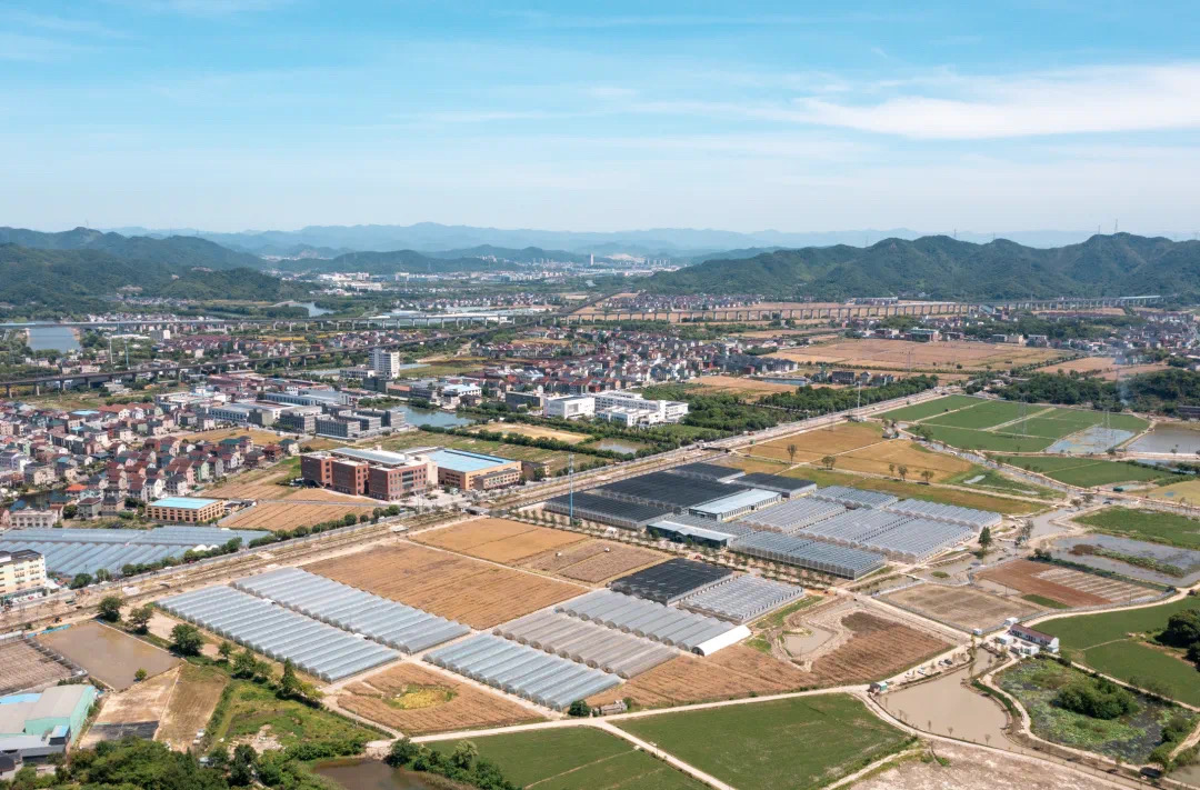 1716341610148060fo6q.jpg 2.jpg