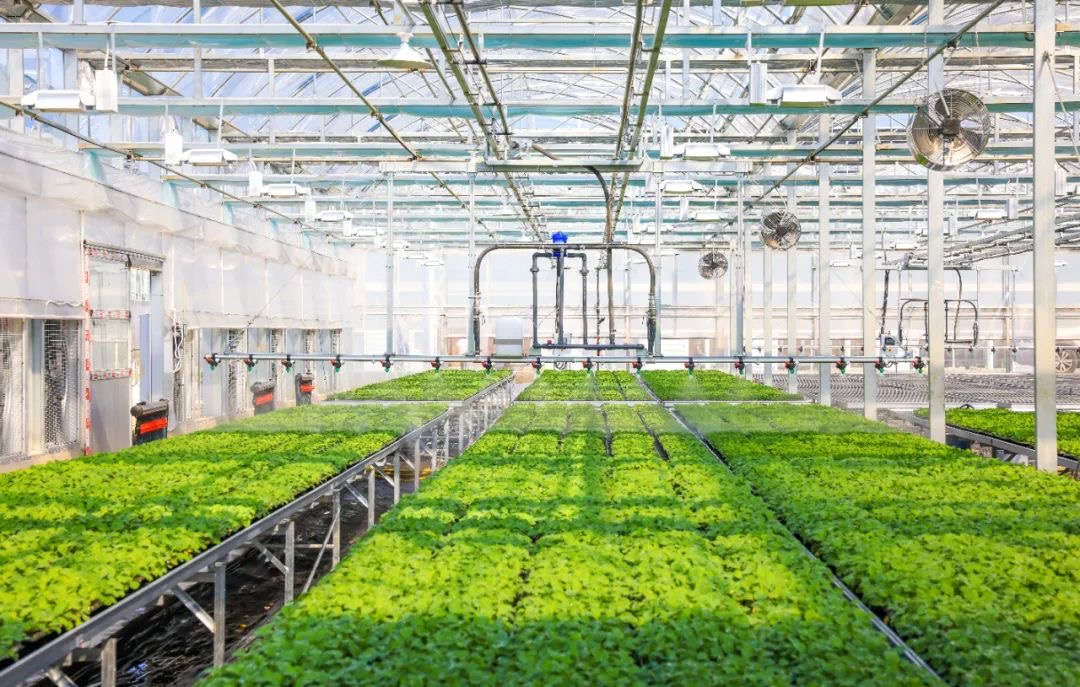 1716341648295790kMoe.jpg 3.jpg