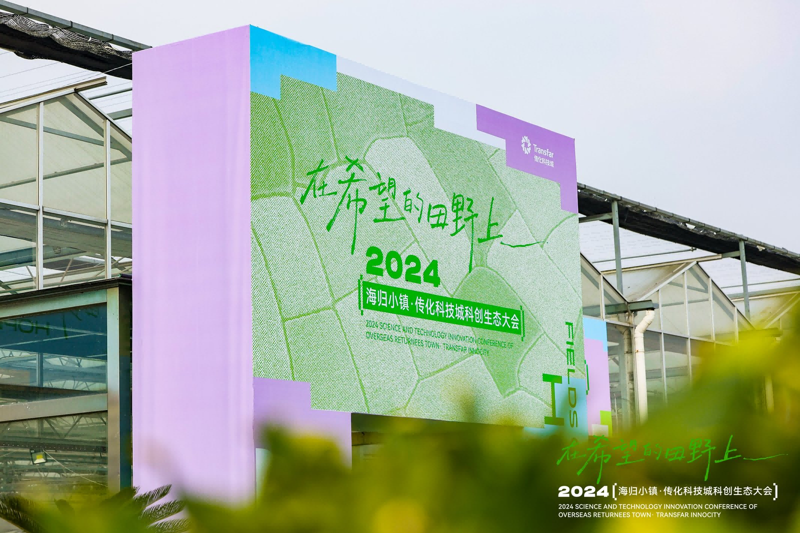 17325219868572600aei.jpeg 4.jpeg