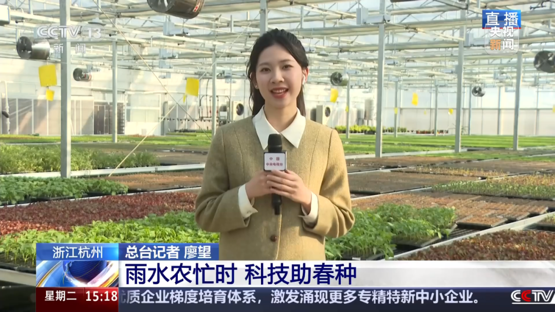 1739945041914292p7se.png 640 (1).png