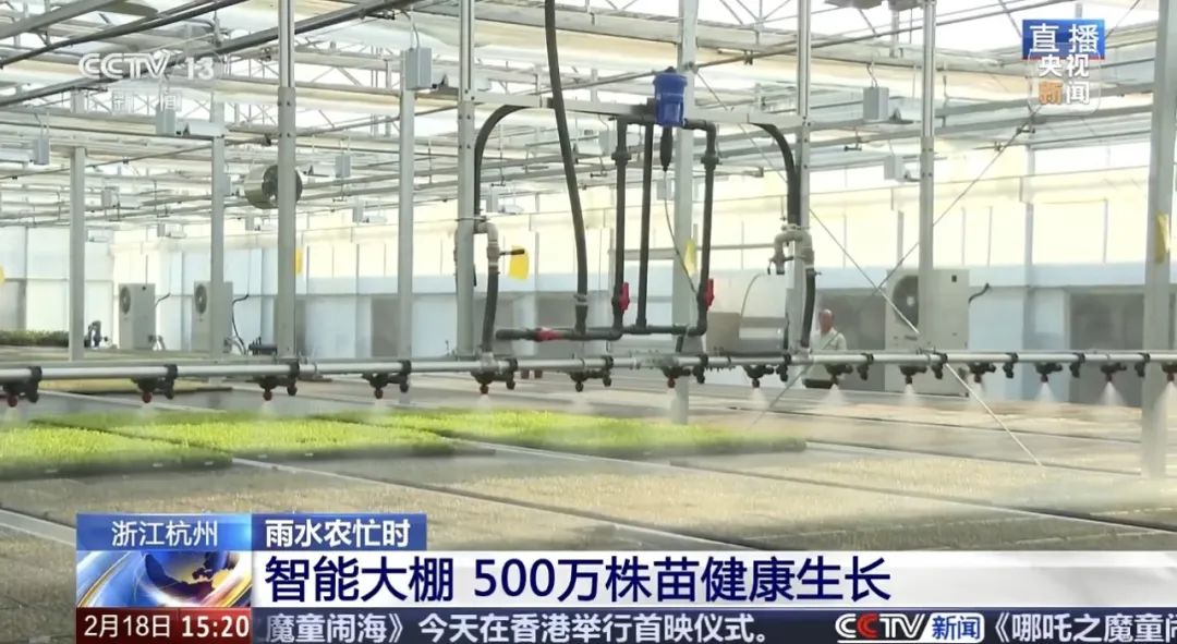 1739945127904862Ro4J.jpeg 640 (2).jpeg