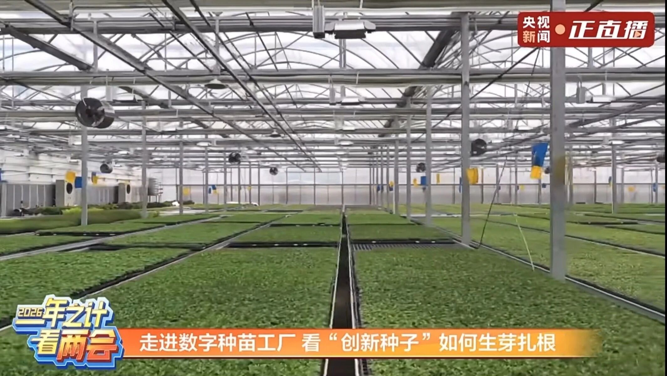 1773386372669085EUEy.jpg 88.jpg