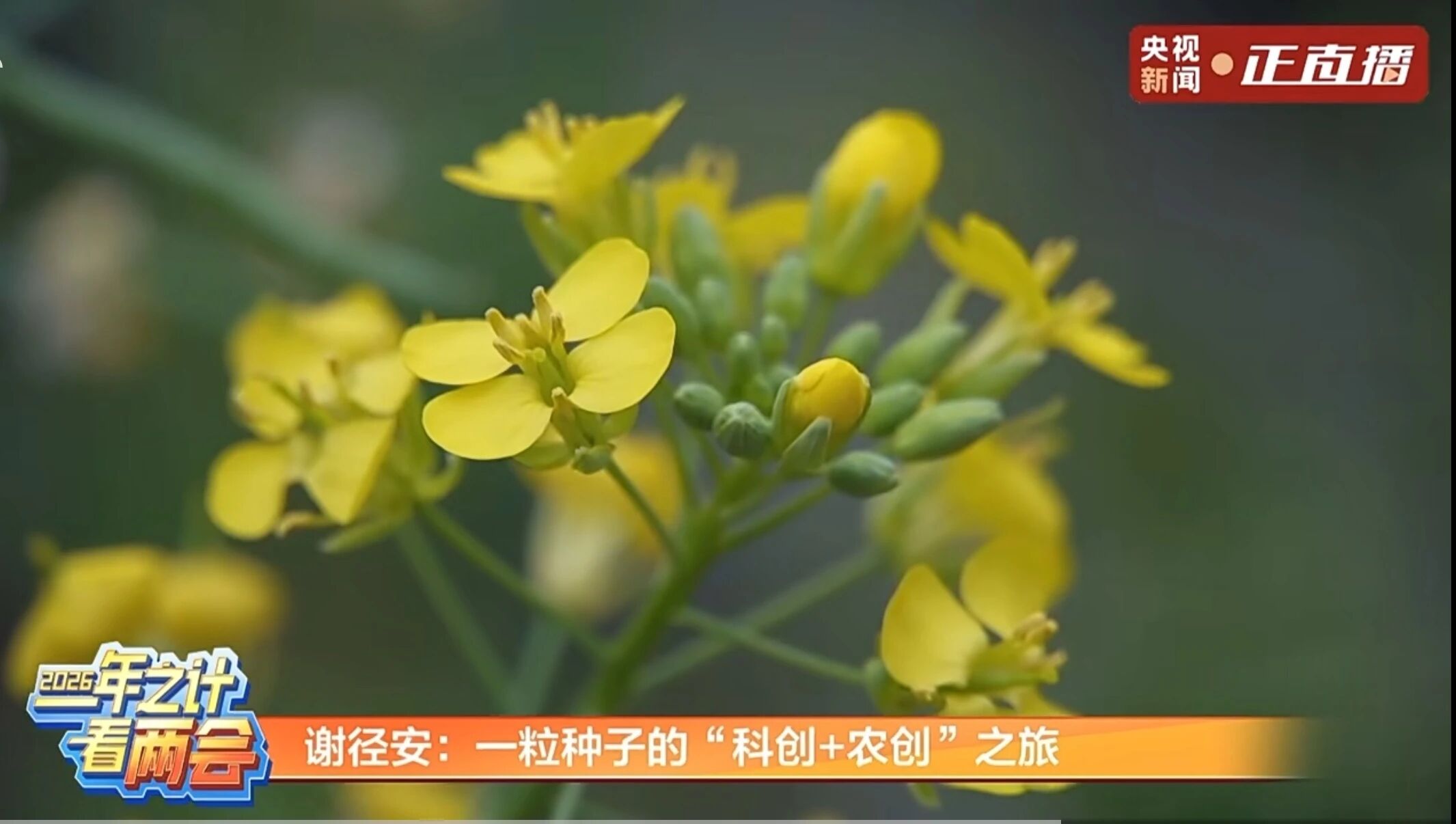 1773386449877274OwIe.jpg 1010.jpg